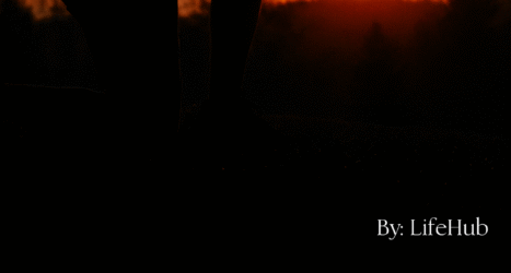 Worship: Bowing Before Majesty